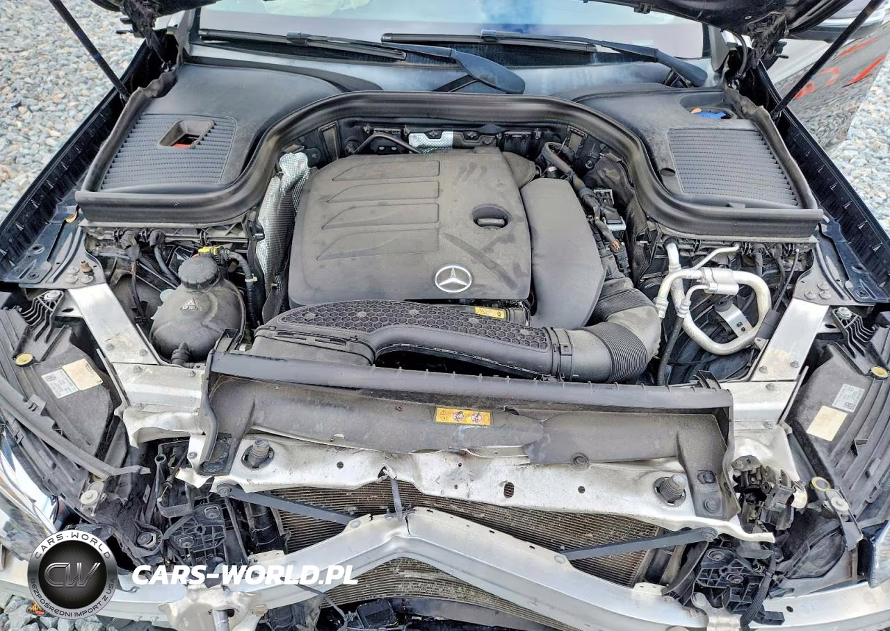 2020 Mercedes-Benz Glc 300 VIN:W1N0G8DBXLF781142 - 12