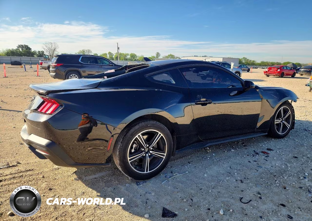 2024 Ford Mustang VIN:1FA6P8TH6R5122549 - 3