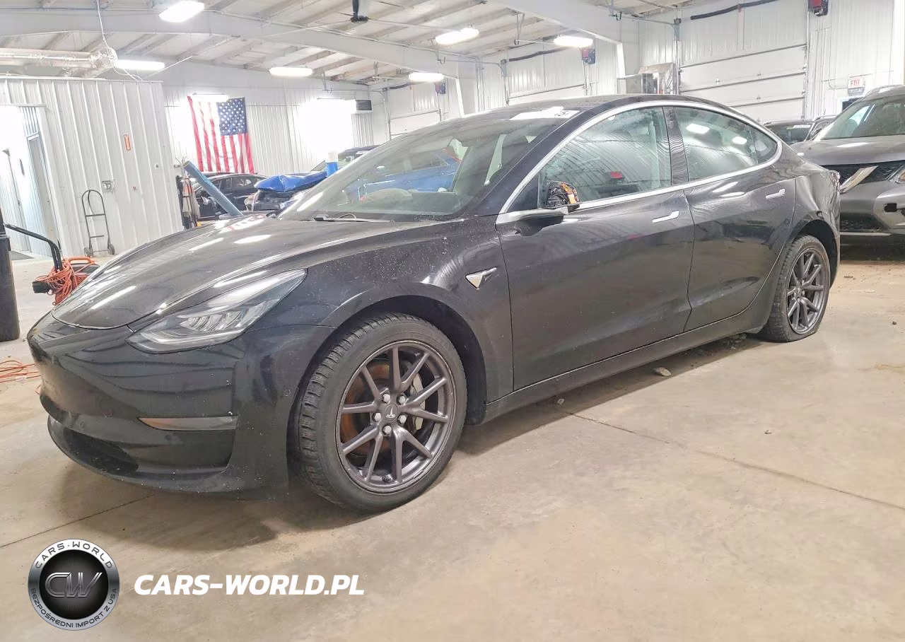 2019 Tesla Model 3