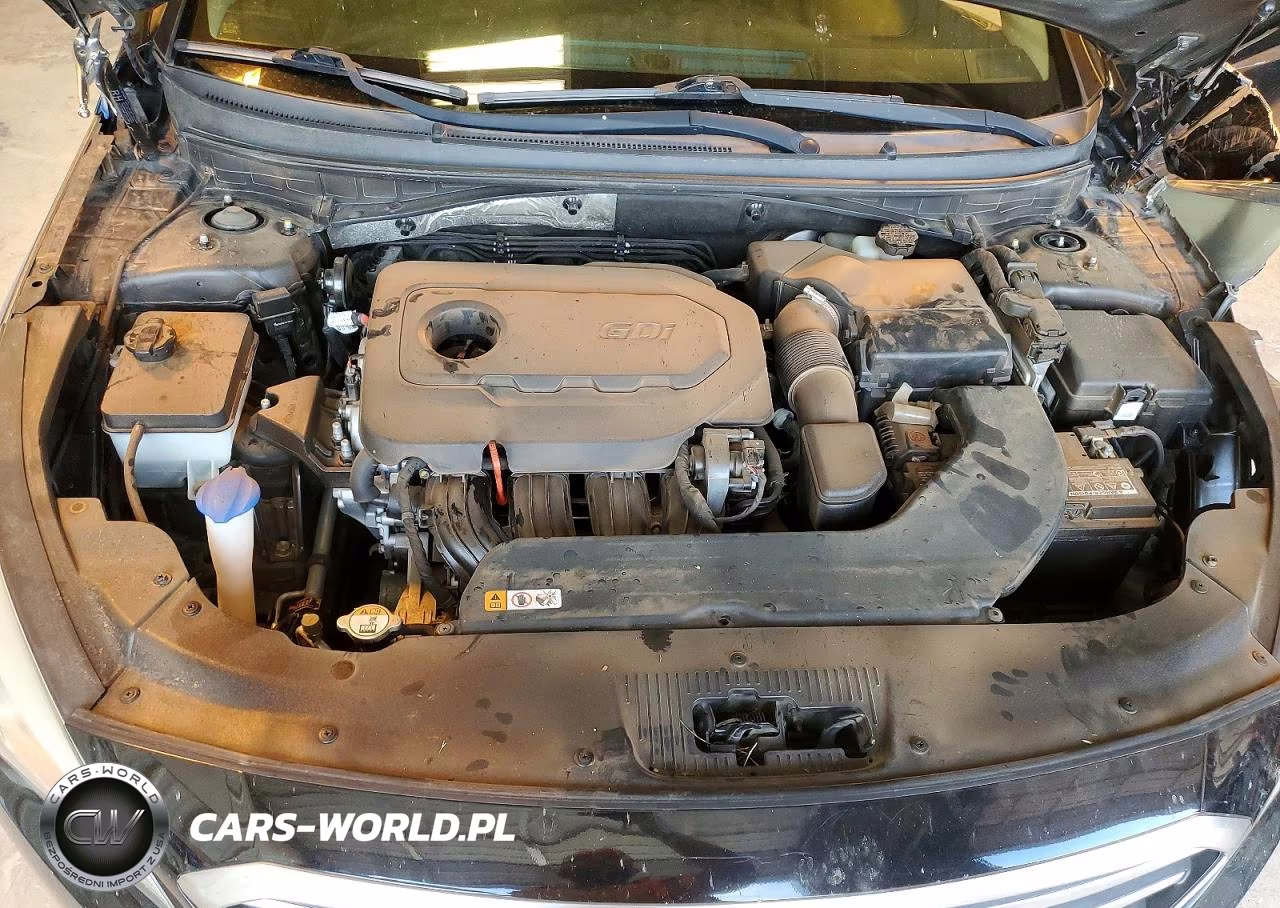 2015 Hyundai Sonata Se VIN:5NPE24AF9FH154177 - 11
