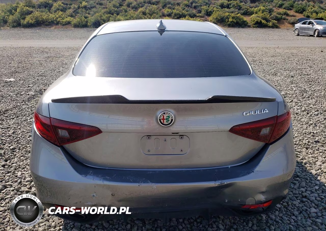 2019 Alfa Romeo Giulia Ti VIN:ZARFAMBN3K7605816 - 6