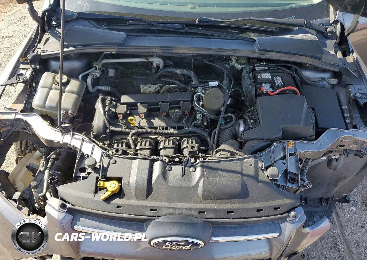2013 Ford Focus Se VIN:1FADP3F2XDL345781 - 11