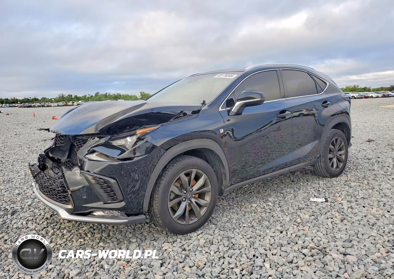 2018 Lexus Nx 300 F Sport