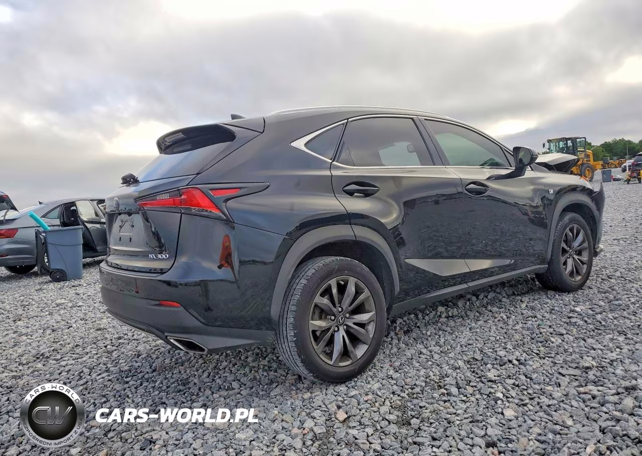 2018 Lexus Nx 300 F Sport VIN:JTJYARBZ9J2097816 - 3
