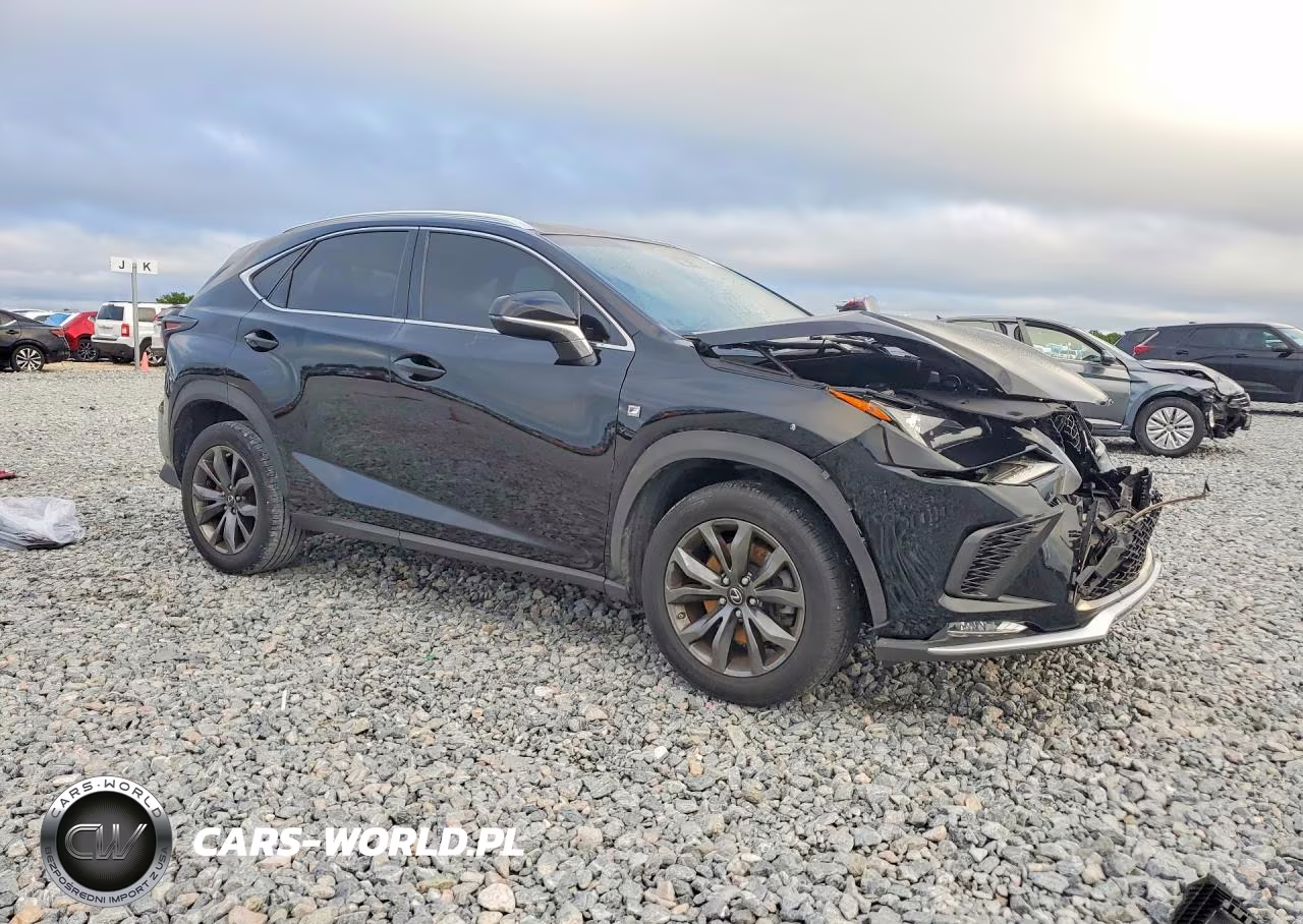 2018 Lexus Nx 300 F Sport VIN:JTJYARBZ9J2097816 - 4