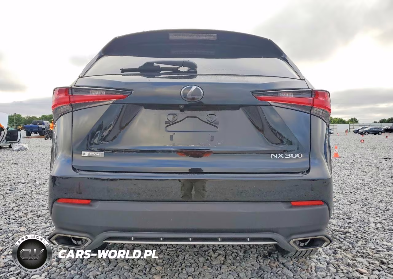 2018 Lexus Nx 300 F Sport VIN:JTJYARBZ9J2097816 - 6