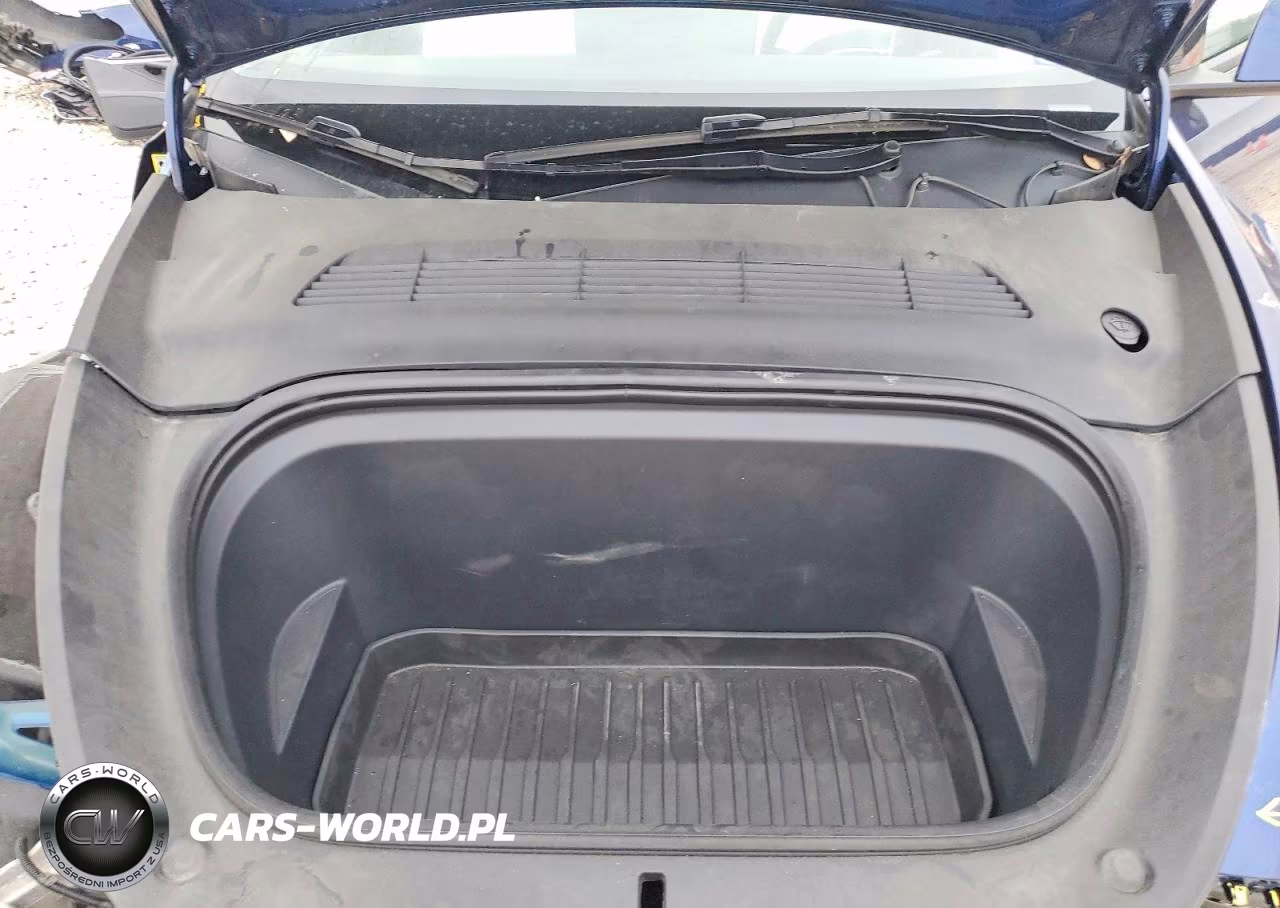 2023 Tesla Model Y VIN:7SAYGDEEXPA196485 - 12