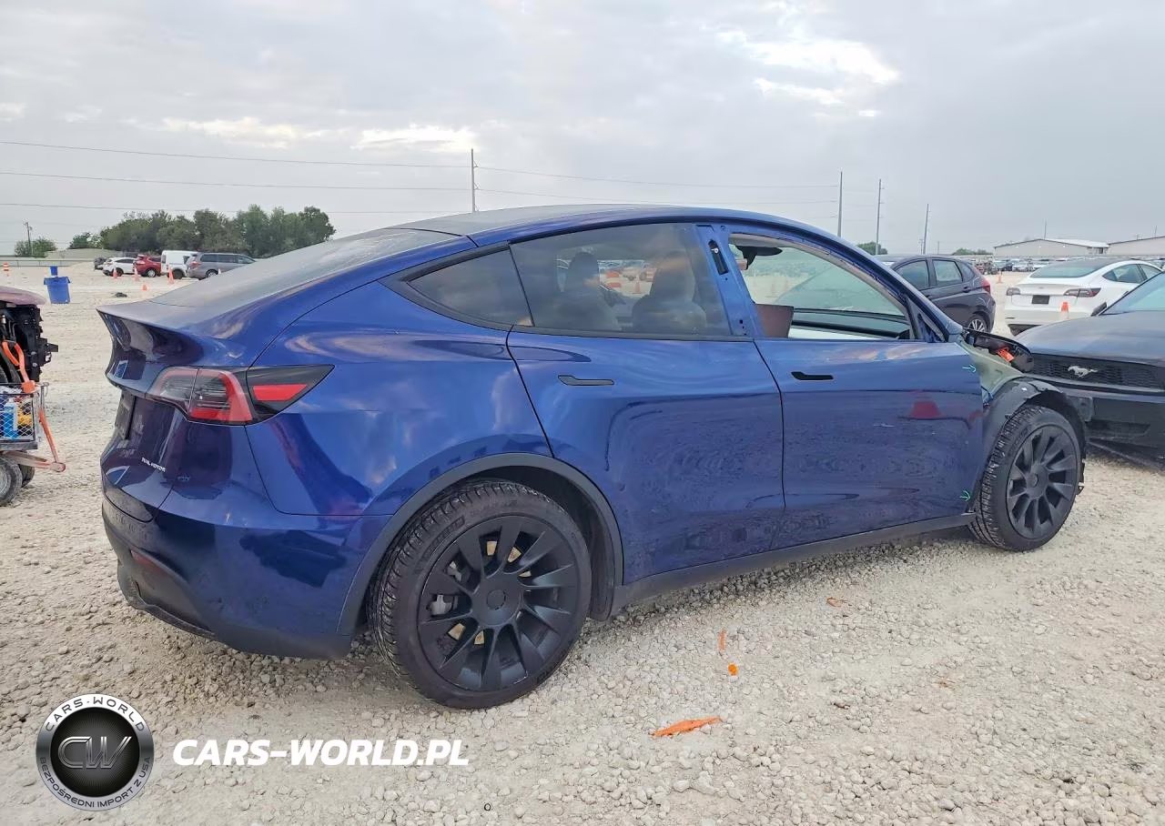 2023 Tesla Model Y VIN:7SAYGDEEXPA196485 - 3