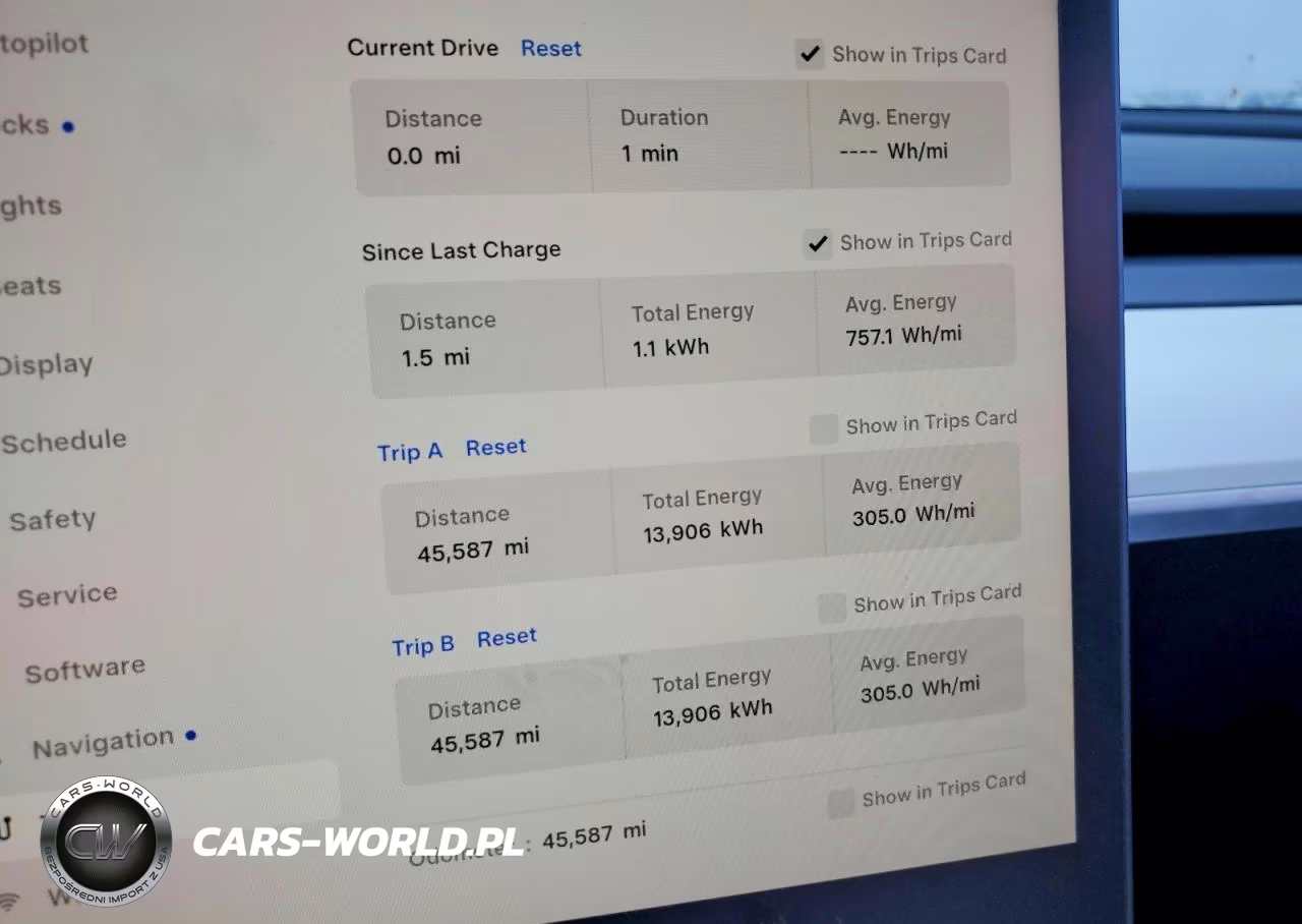 2023 Tesla Model Y VIN:7SAYGDEEXPA196485 - 9