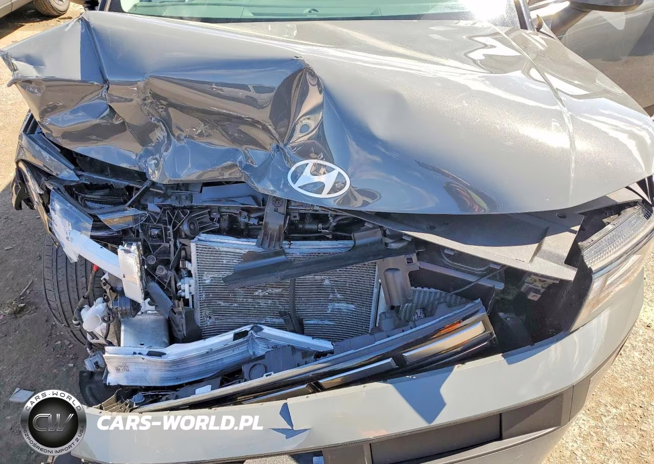 2024 Hyundai Santa Fe Se VIN:5NMP1DGLXRH012205 - 12