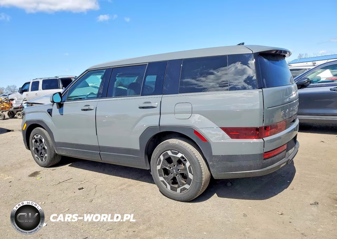 2024 Hyundai Santa Fe Se VIN:5NMP1DGLXRH012205 - 2