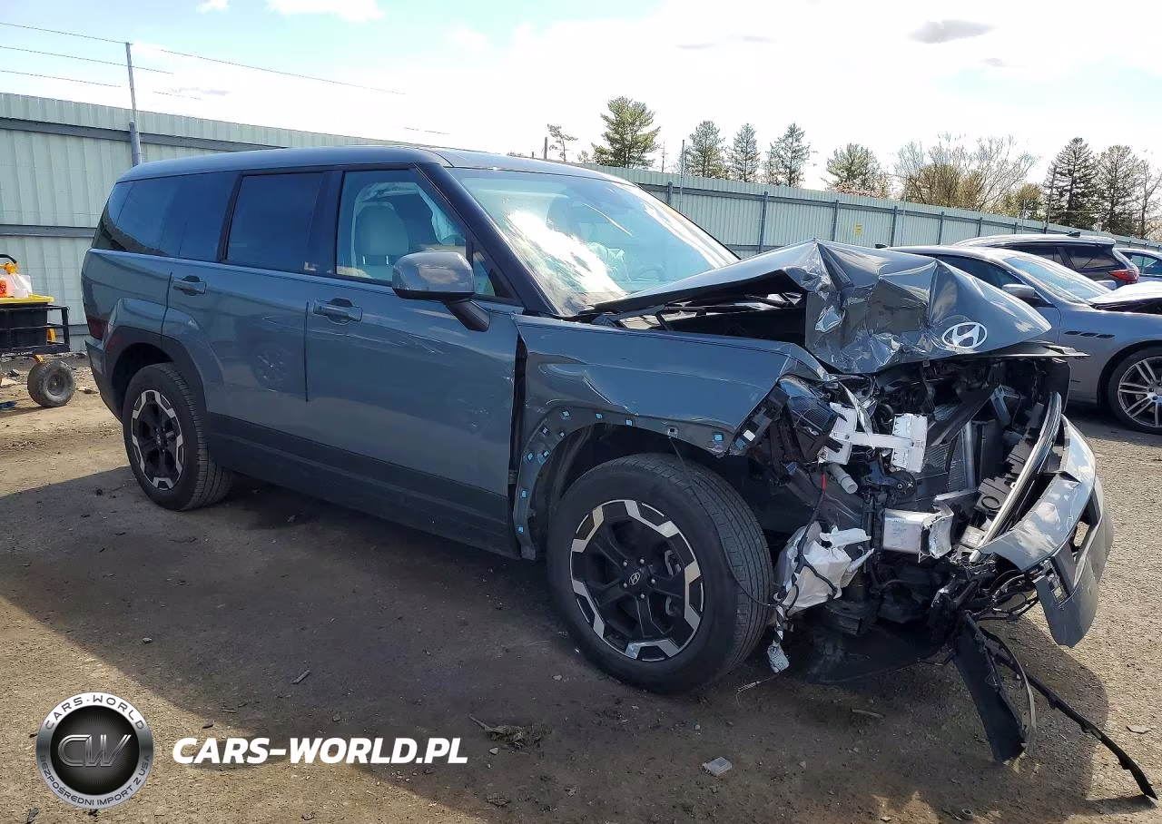 2024 Hyundai Santa Fe Se VIN:5NMP1DGLXRH012205 - 4
