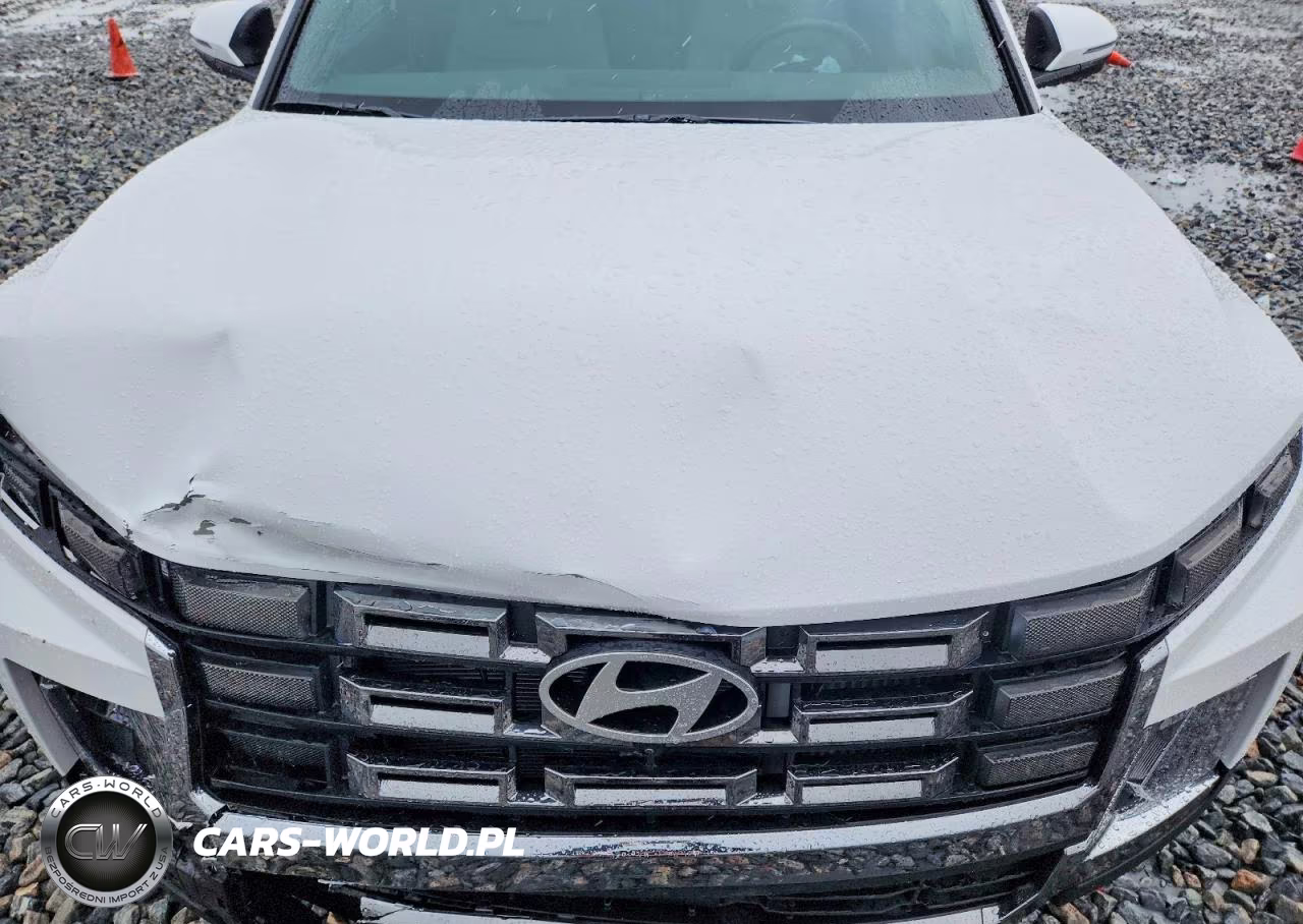 2025 Hyundai Santa Cruz Limited VIN:5NTJEDDF7SH146575 - 11
