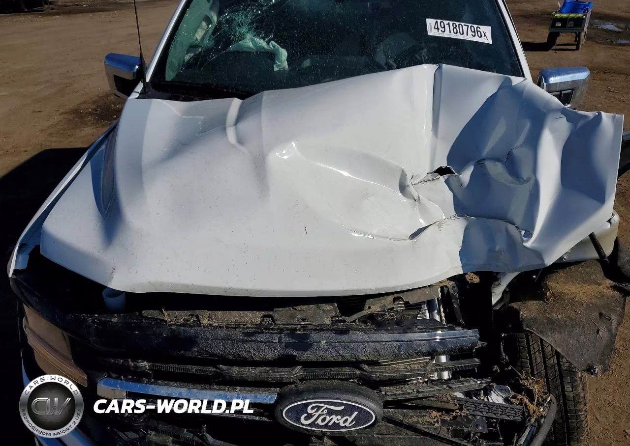 2025 Ford F150 Xlt VIN:1FTFW3L5XSKF96002 - 11