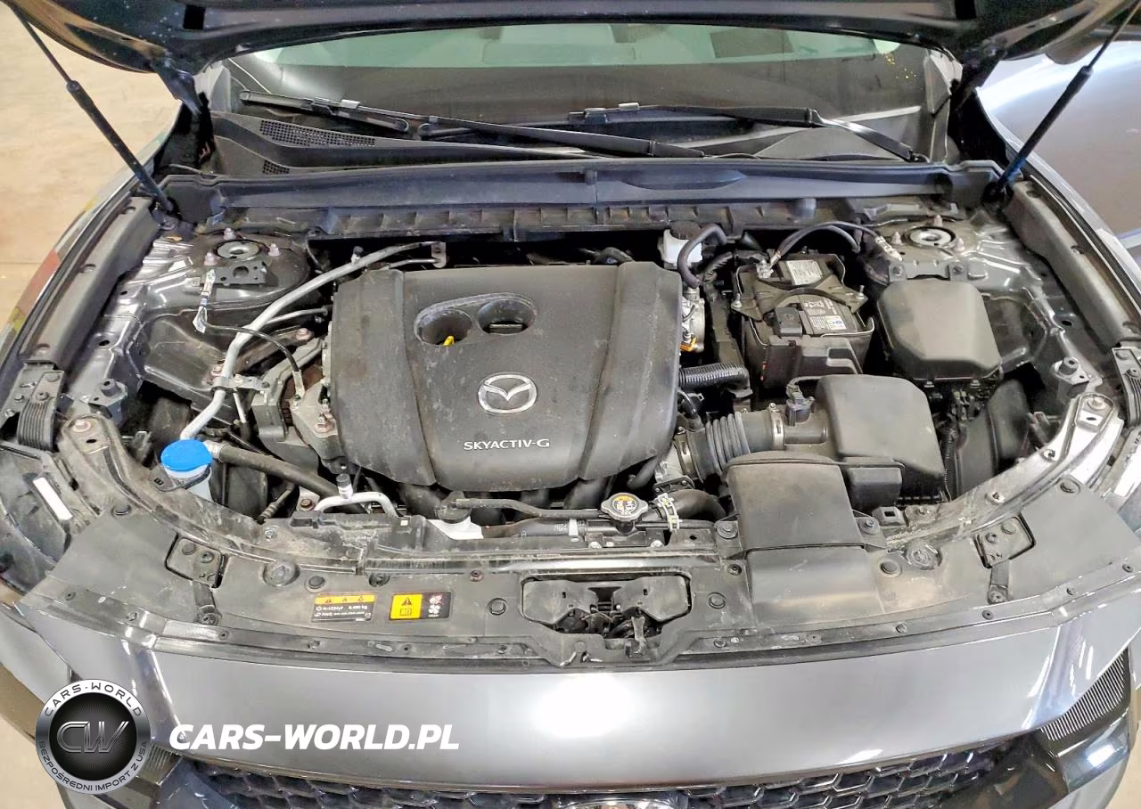 2024 Mazda Cx-50 Premium Plus VIN:7MMVABEMXRN221289 - 12