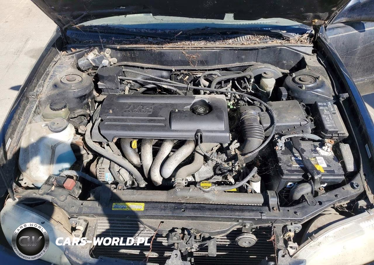 2000 Toyota Corolla Ve VIN:2T1BR12E9YC283898 - 11