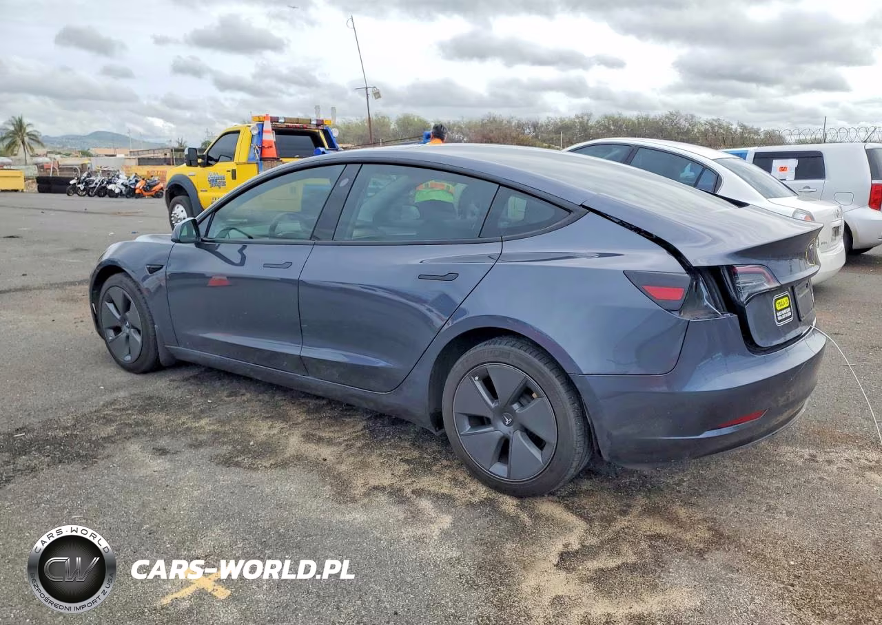 2023 Tesla Model 3 VIN:5YJ3E1EA4PF559438 - 2