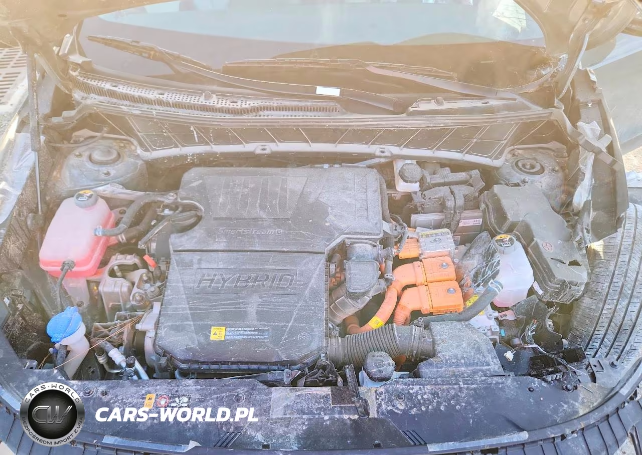 2025 Kia Niro Ex VIN:KNDCR3LEXS5235796 - 12