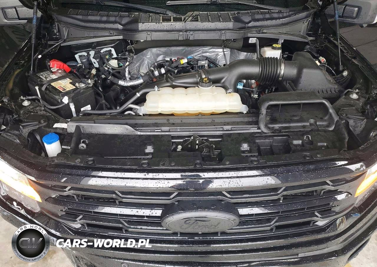 2024 Ford F150 Xlt VIN:1FTEW3KP9RKE89063 - 11