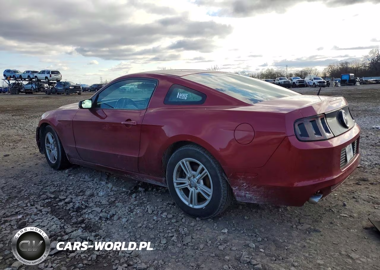 2014 Ford Mustang VIN:1ZVBP8AM3E5208661 - 2