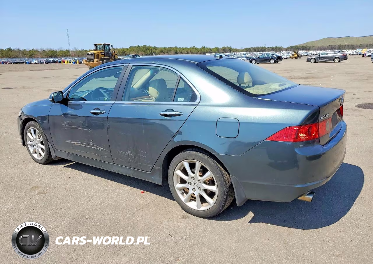 2006 Acura Tsx VIN:JH4CL96906C011391 - 2