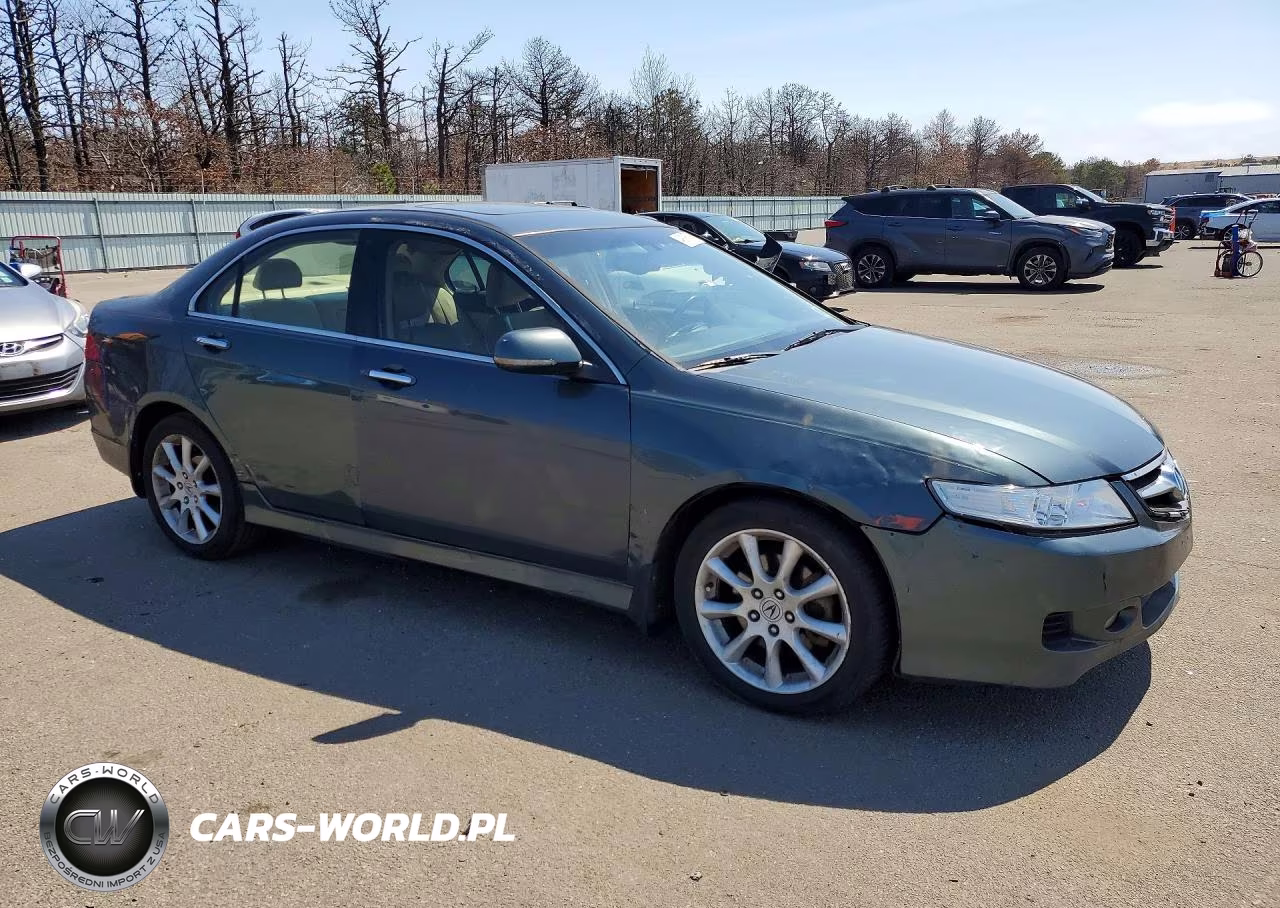 2006 Acura Tsx VIN:JH4CL96906C011391 - 4