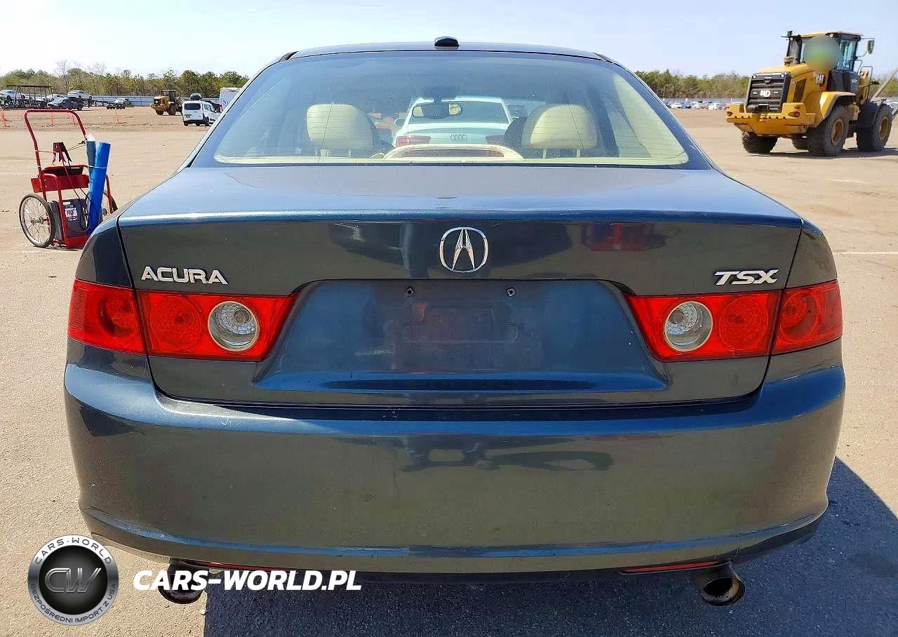2006 Acura Tsx VIN:JH4CL96906C011391 - 6