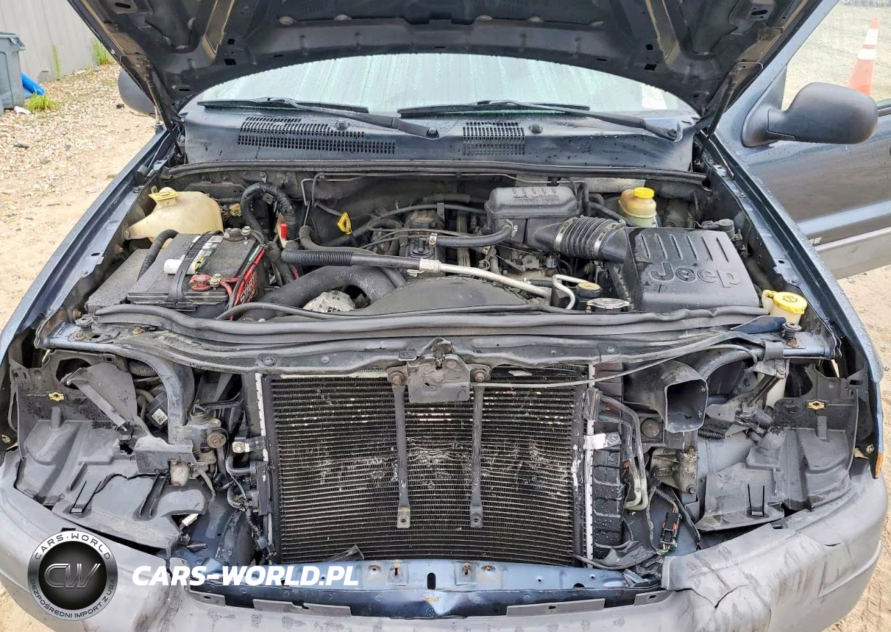 2004 Jeep Grand Cherokee Laredo VIN:1J4GX48S34C197221 - 11