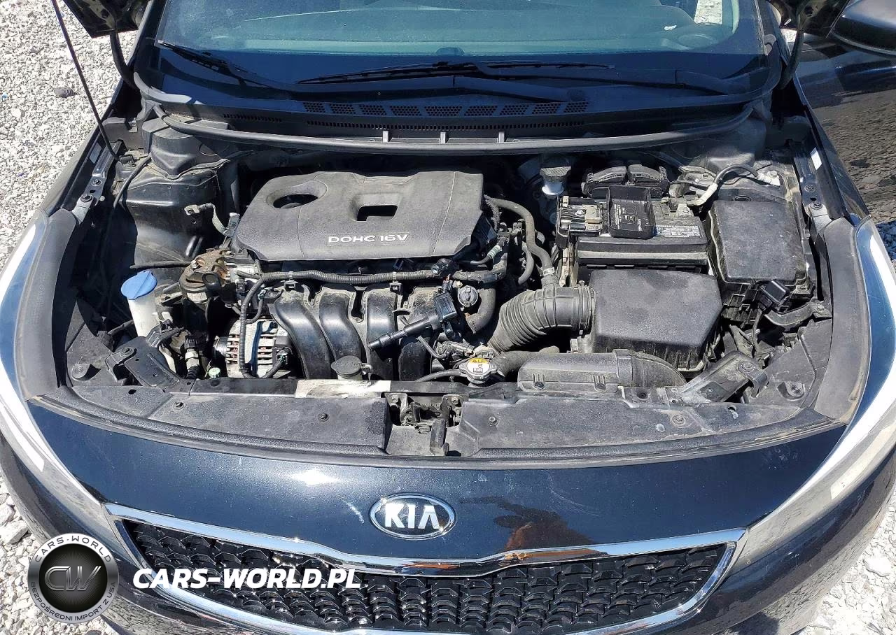 2017 Kia Forte Lx VIN:3KPFL4A75HE131240 - 11