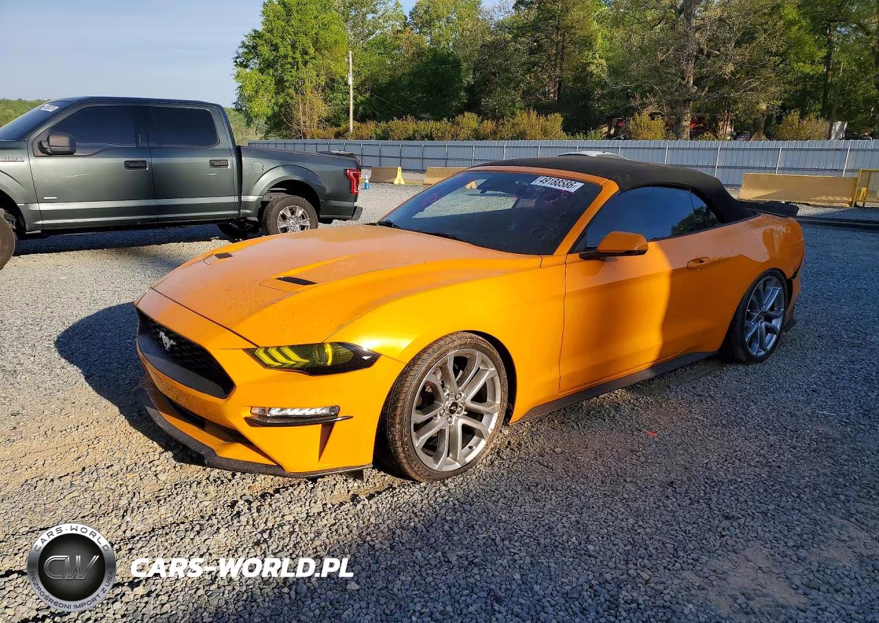 2019 Ford Mustang