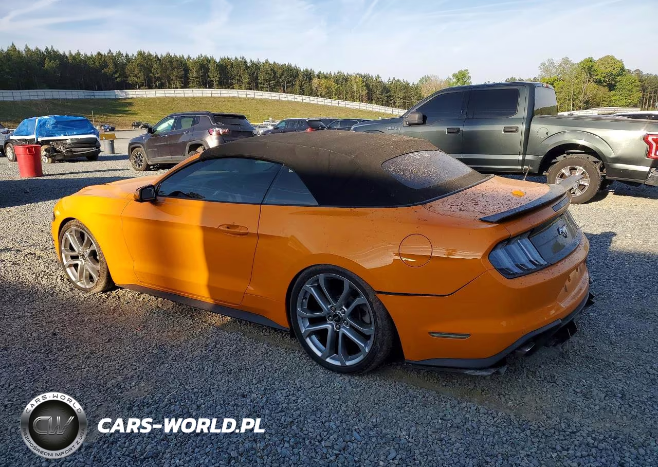 2019 Ford Mustang VIN:1FATP8UHXK5194135 - 2