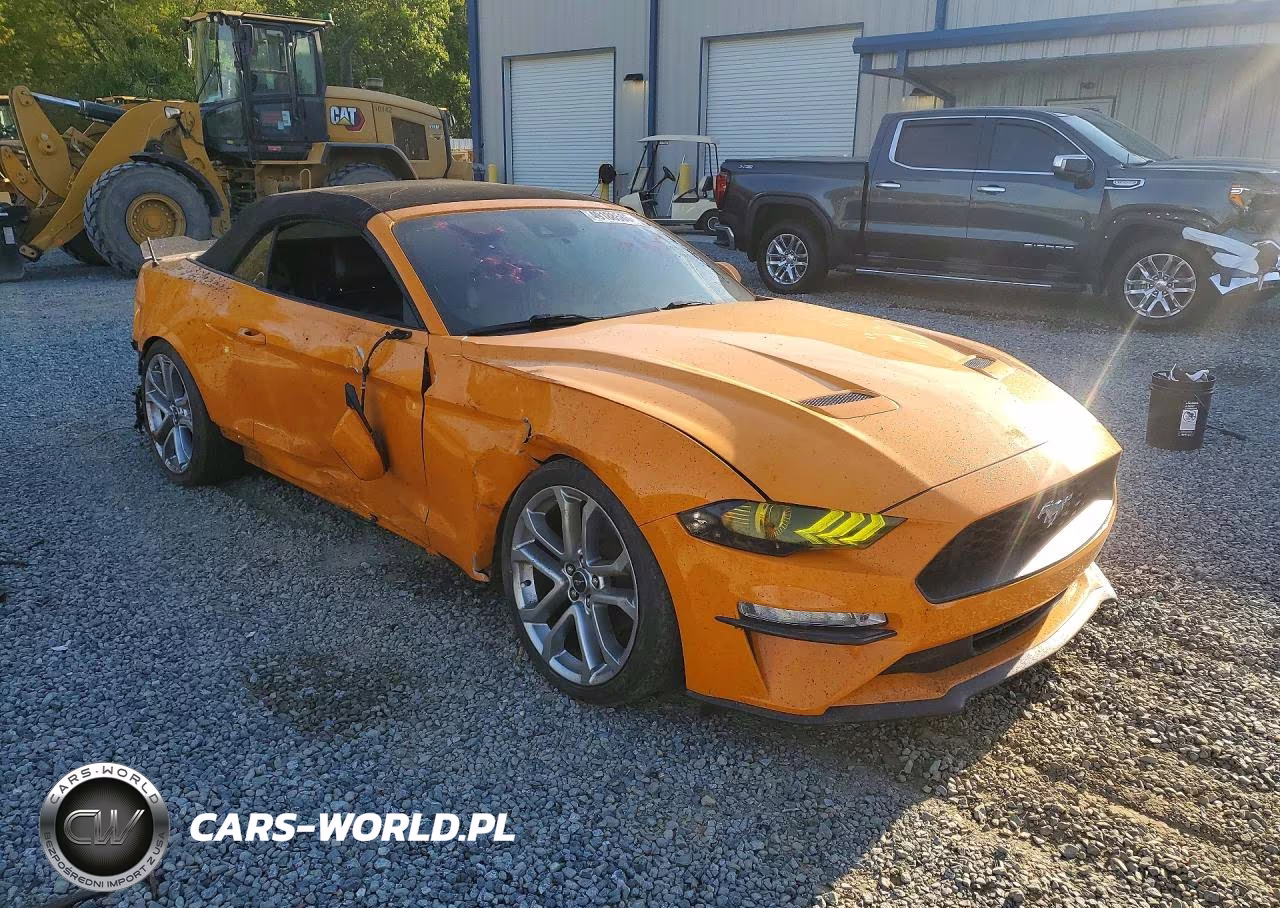 2019 Ford Mustang VIN:1FATP8UHXK5194135 - 4
