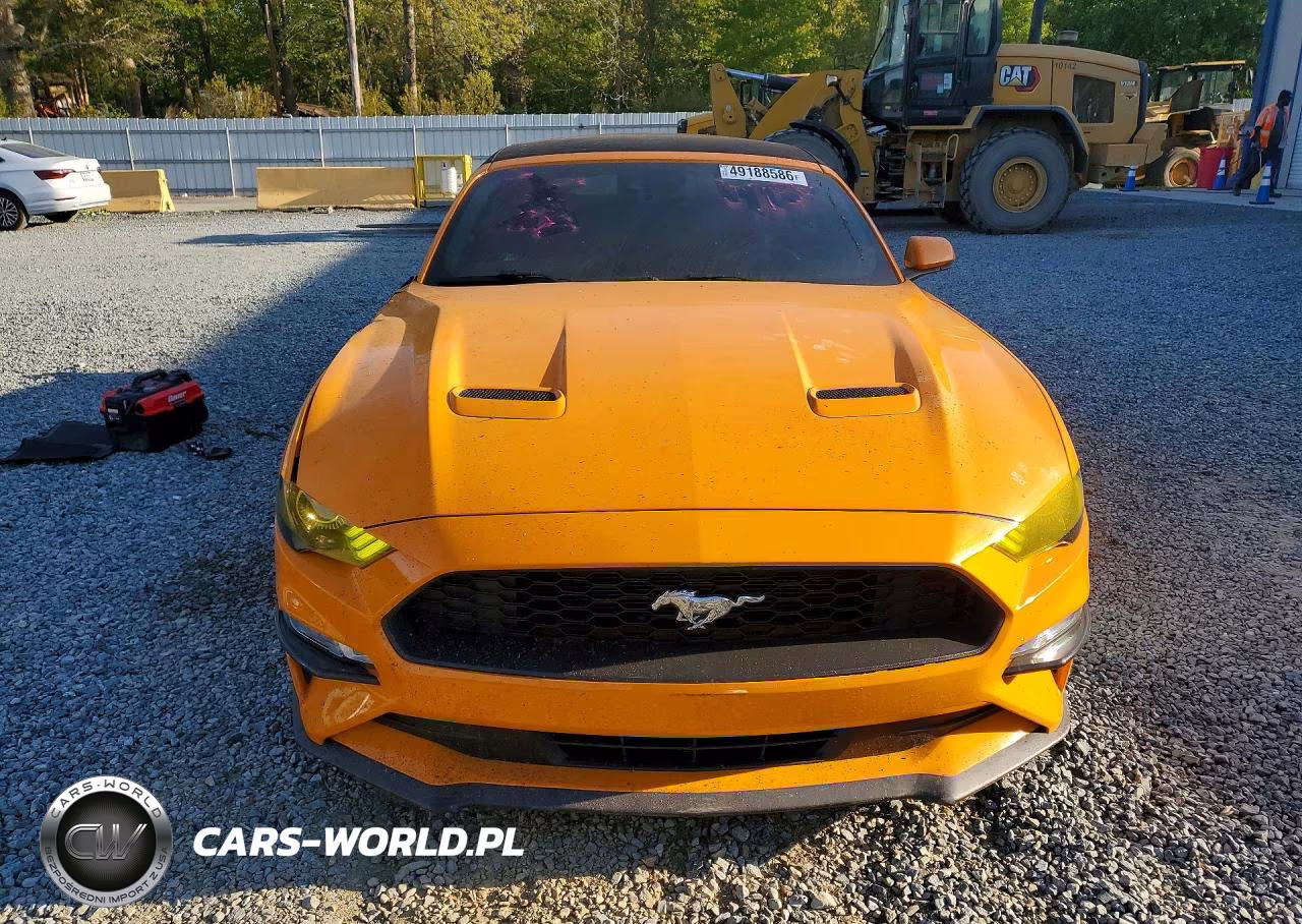 2019 Ford Mustang VIN:1FATP8UHXK5194135 - 5