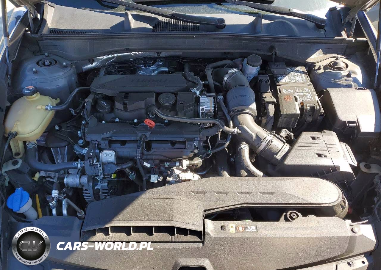 2021 Hyundai Sonata Limited VIN:5NPEH4J29MH124072 - 11