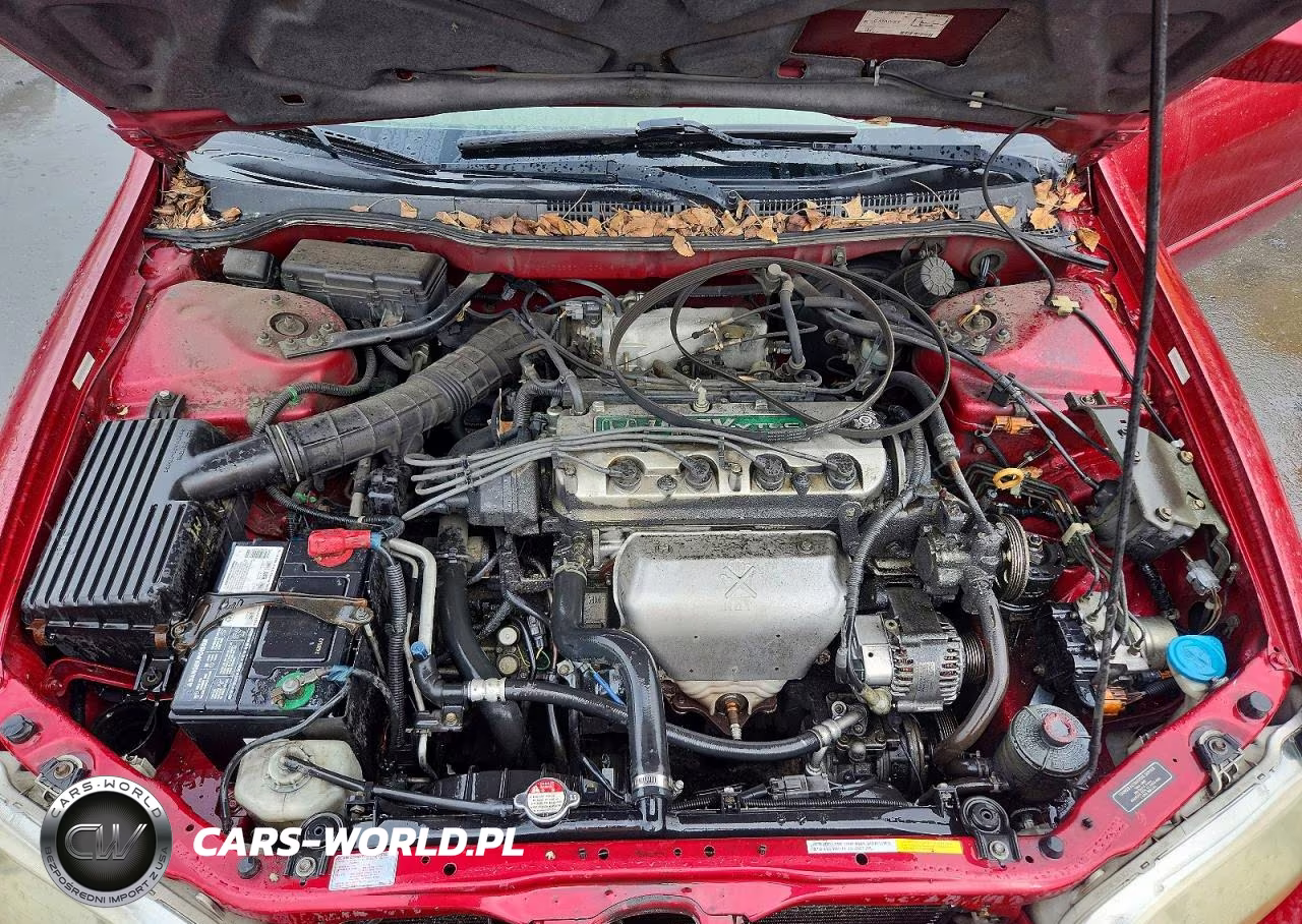 2000 Honda Accord Se VIN:JHMCG6691YC017819 - 11
