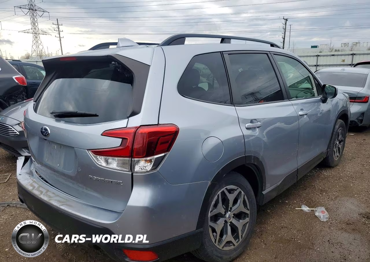2019 Subaru Forester Premium VIN:JF2SKAGC1KH571754 - 3