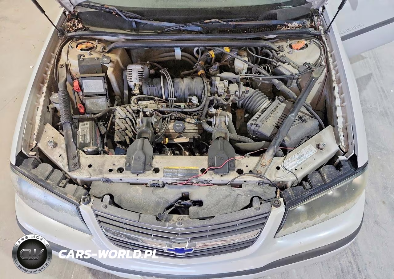 2003 Chevrolet Impala Ls VIN:2G1WH52K539311053 - 11