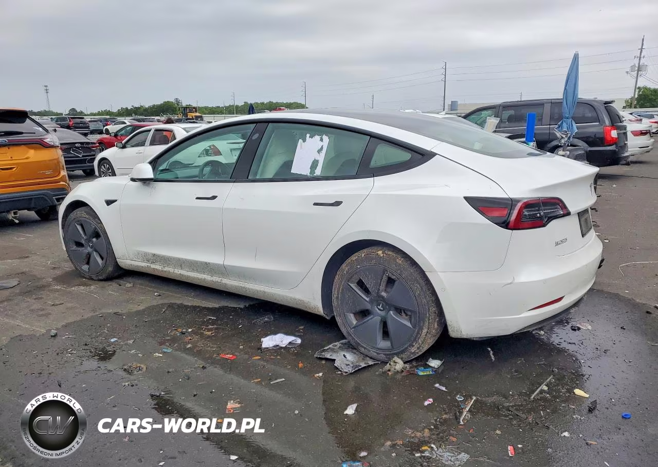 2021 Tesla Model 3 VIN:5YJ3E1EB4MF855970 - 2