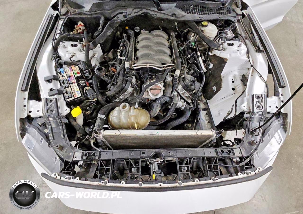 2019 Ford Mustang Gt VIN:1FA6P8CF6K5118022 - 11