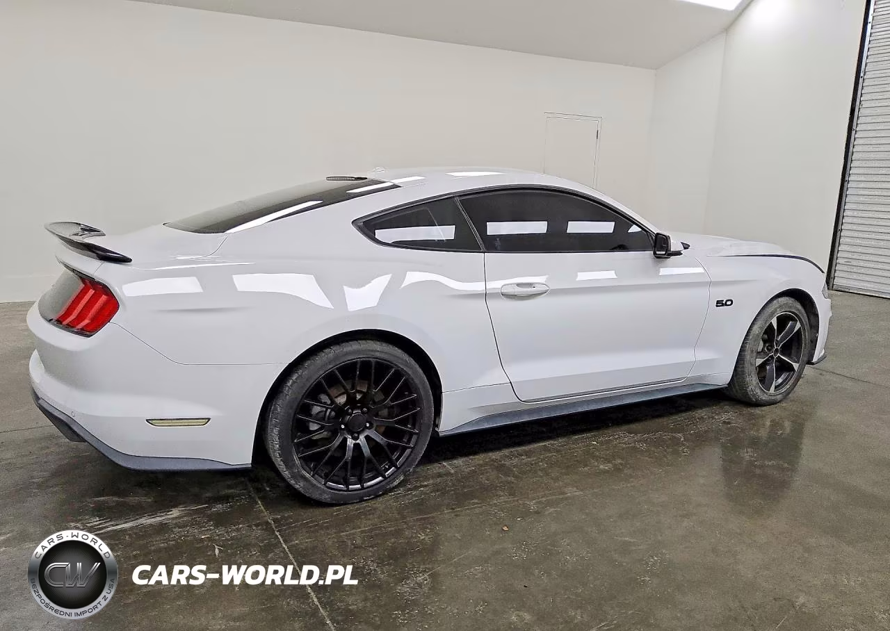 2019 Ford Mustang Gt VIN:1FA6P8CF6K5118022 - 3