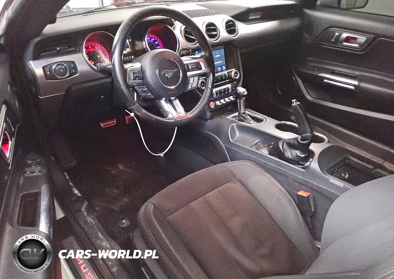 2019 Ford Mustang Gt VIN:1FA6P8CF6K5118022 - 8