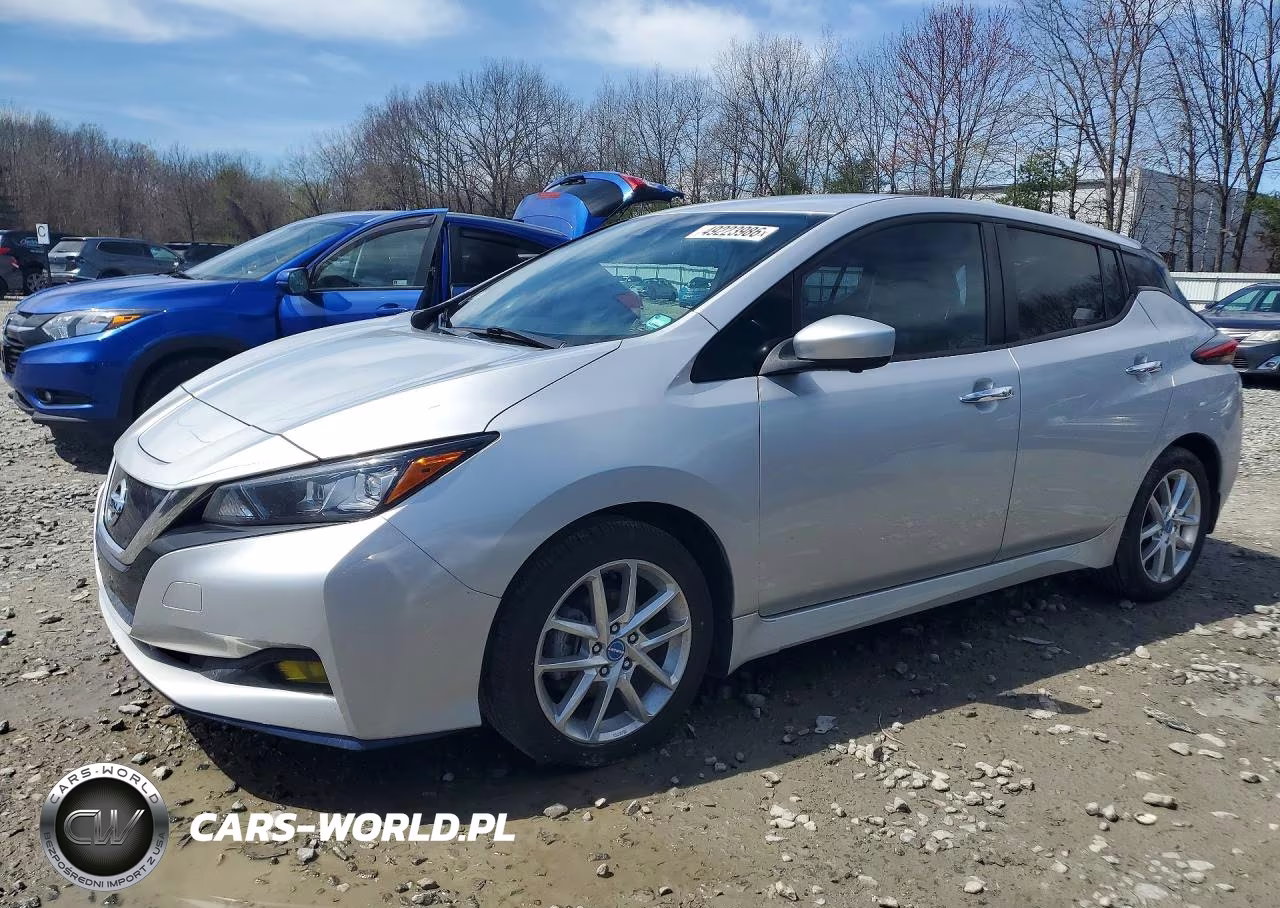 2020 Nissan Leaf Sv Plus