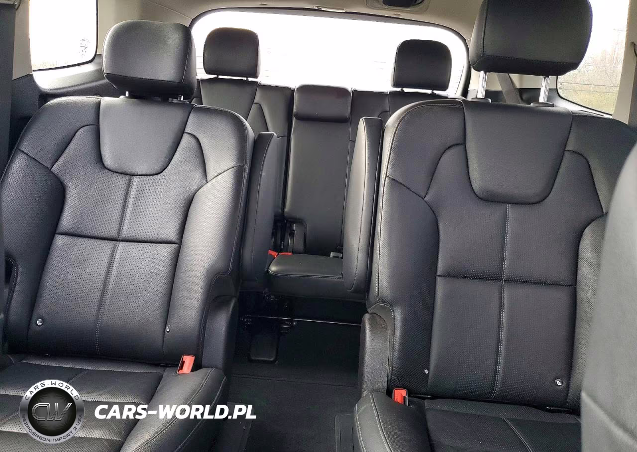 2021 Kia Telluride Ex VIN:5XYP3DHCXMG116107 - 10