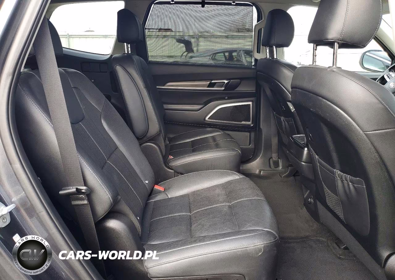2021 Kia Telluride Ex VIN:5XYP3DHCXMG116107 - 11