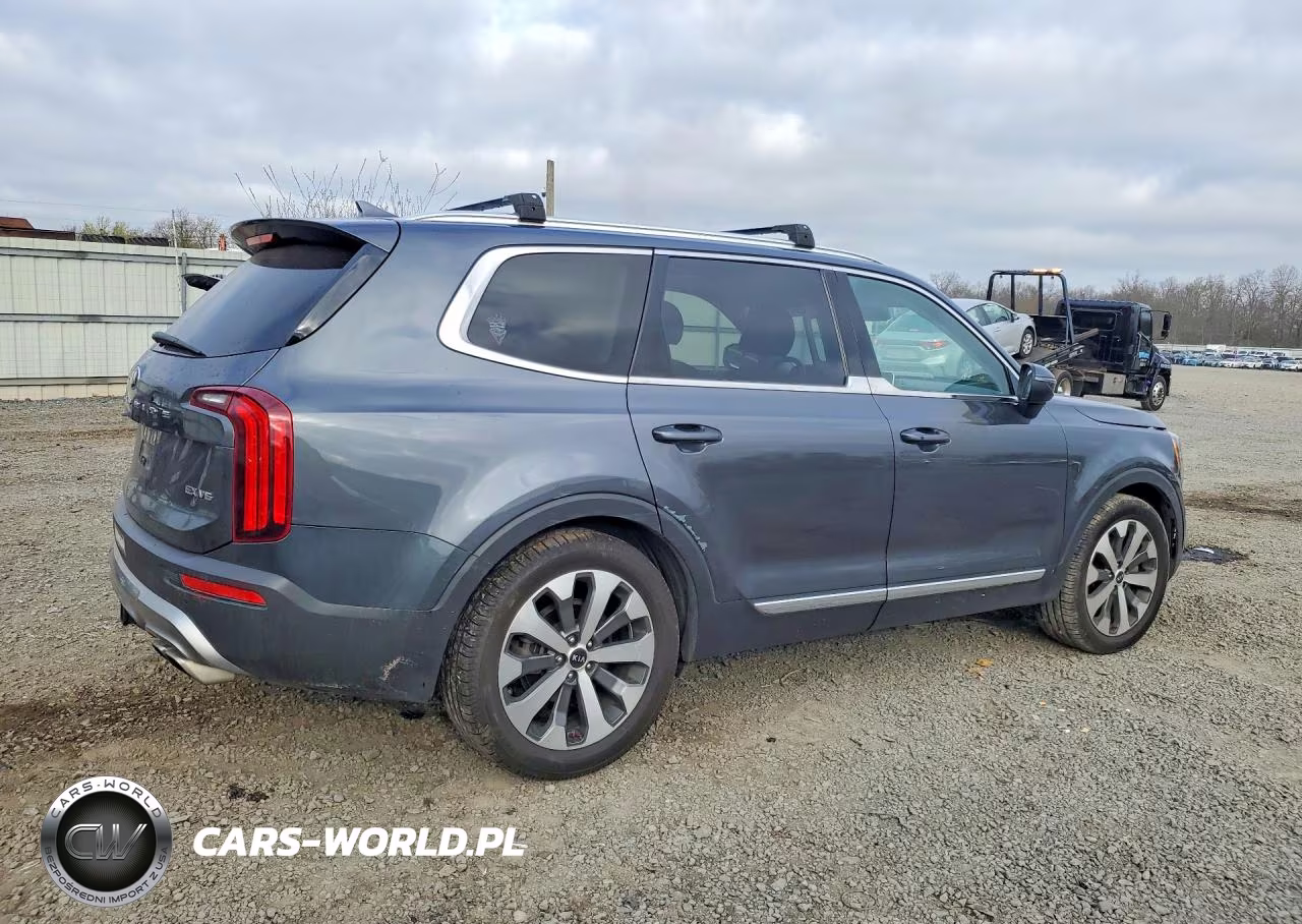 2021 Kia Telluride Ex VIN:5XYP3DHCXMG116107 - 3