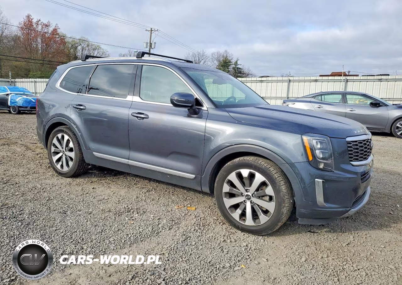 2021 Kia Telluride Ex VIN:5XYP3DHCXMG116107 - 4