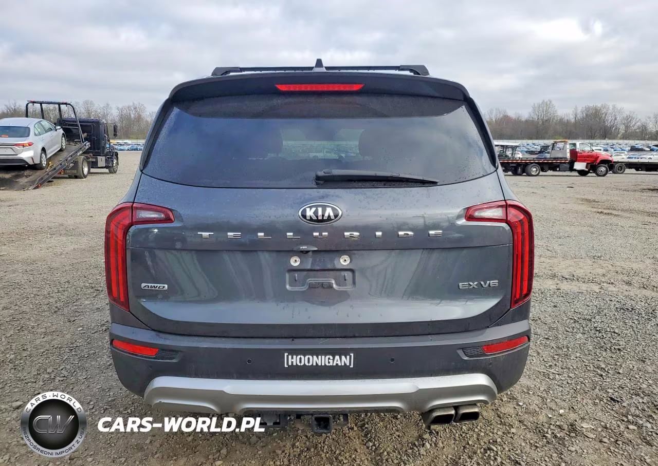 2021 Kia Telluride Ex VIN:5XYP3DHCXMG116107 - 6