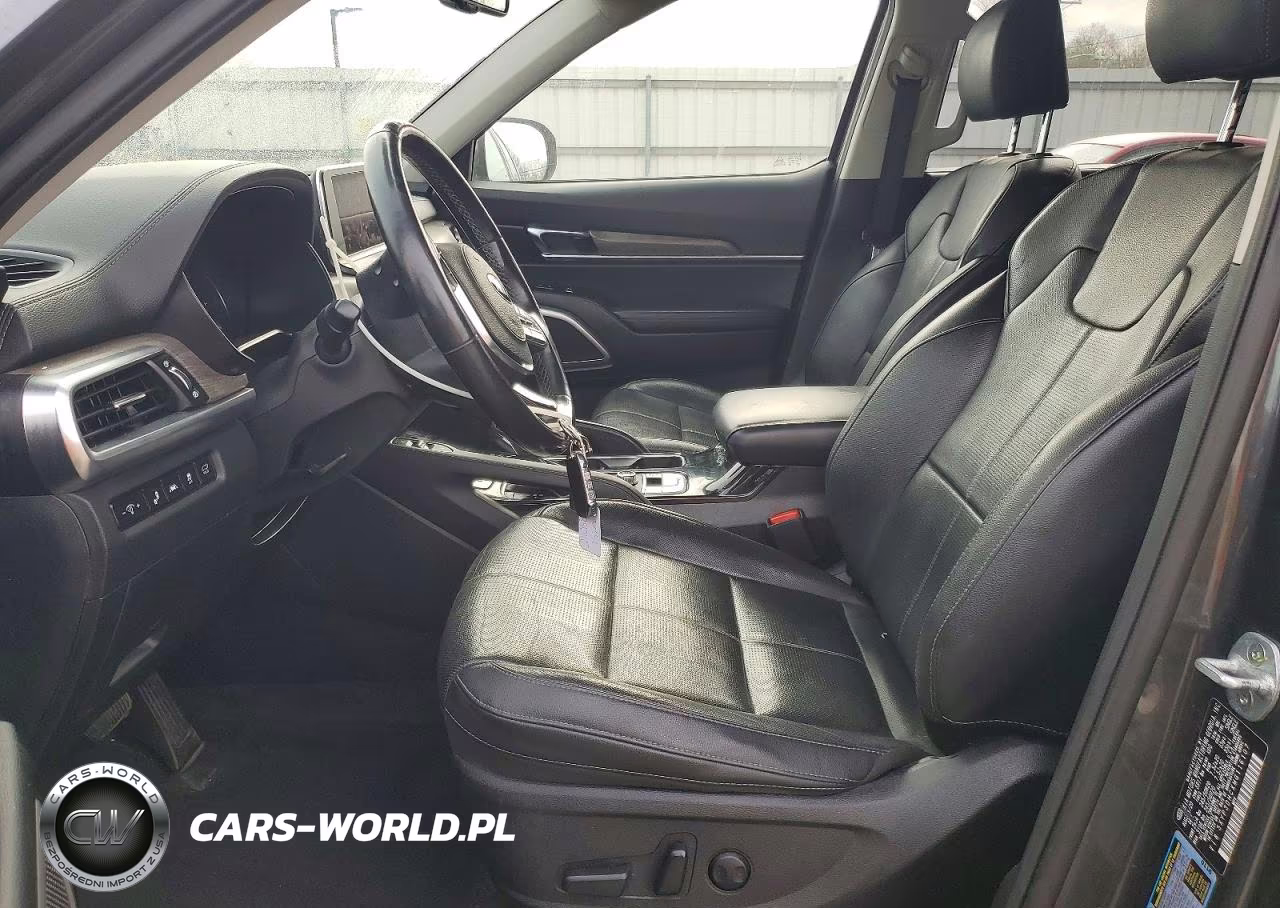 2021 Kia Telluride Ex VIN:5XYP3DHCXMG116107 - 7
