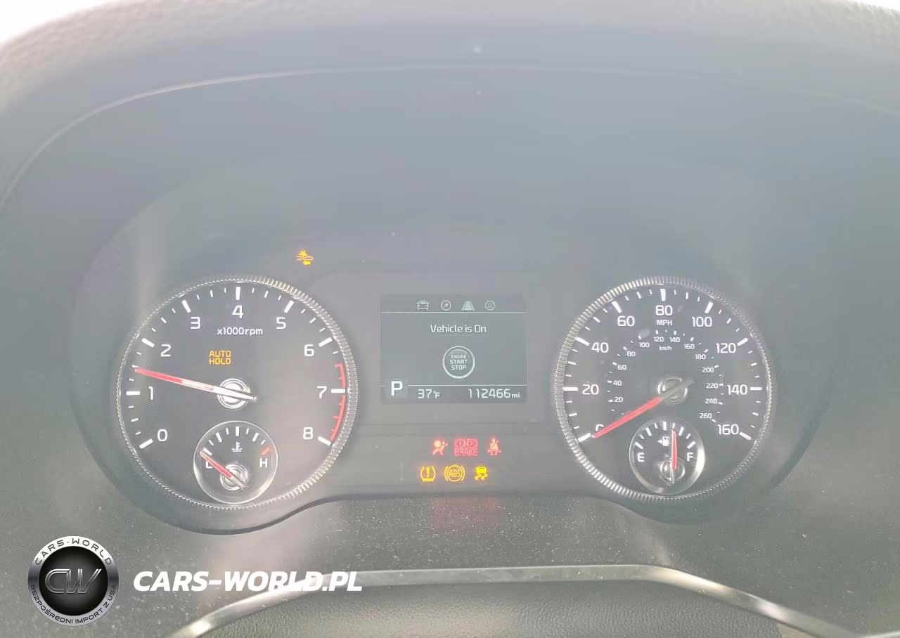 2021 Kia Telluride Ex VIN:5XYP3DHCXMG116107 - 9