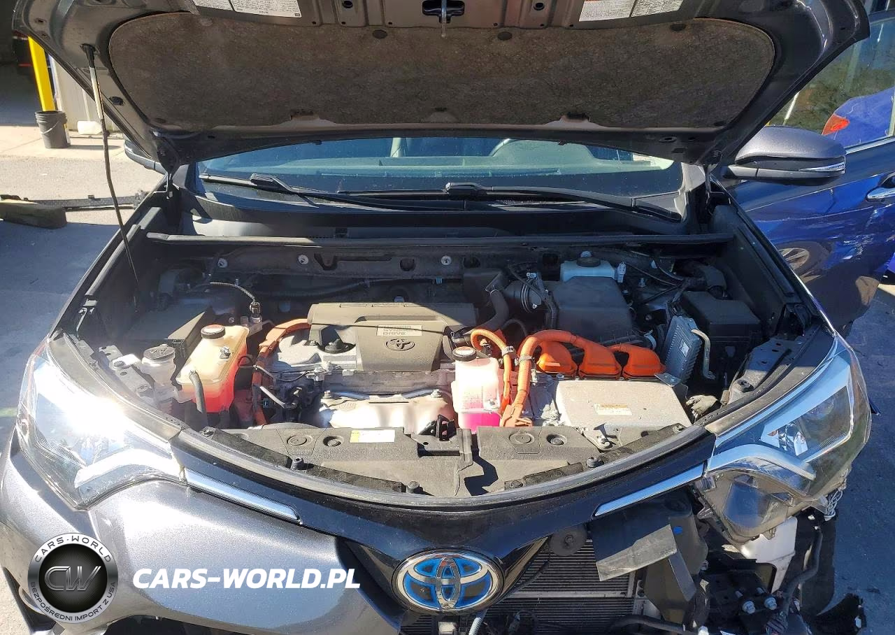2016 Toyota Rav4 Hv Limited VIN:JTMDJREV0GD021456 - 12